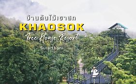 Tree House Resort Khao Sok