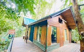 Khao Sok Tree House Resort